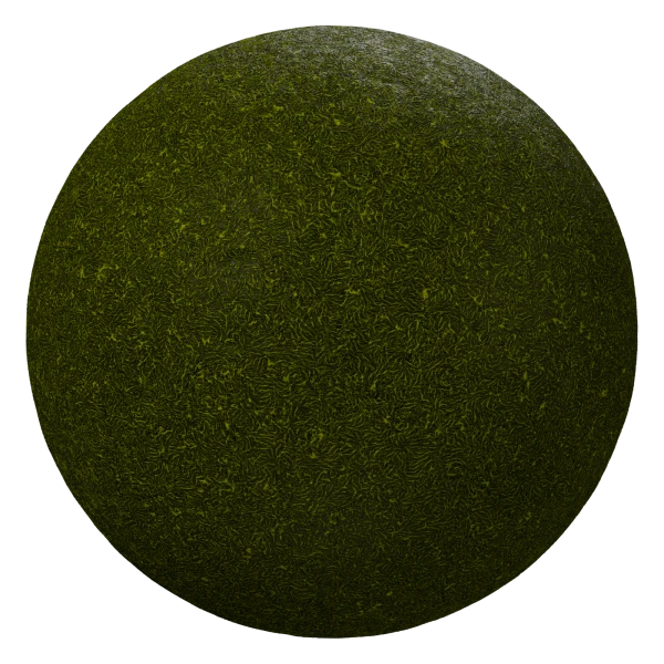 Procedural moss material in Blender, wet look with Moisture 1.0, darker moss with a soft sheen